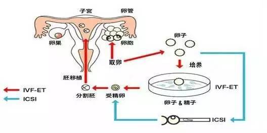 按周配资